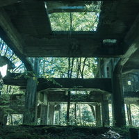 炭鉱遺構の天井穴から見える緑の木々と自然光の写真