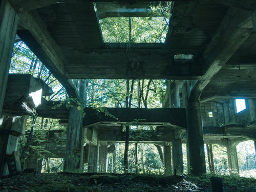 炭鉱遺構の天井穴から見える緑の木々と自然光