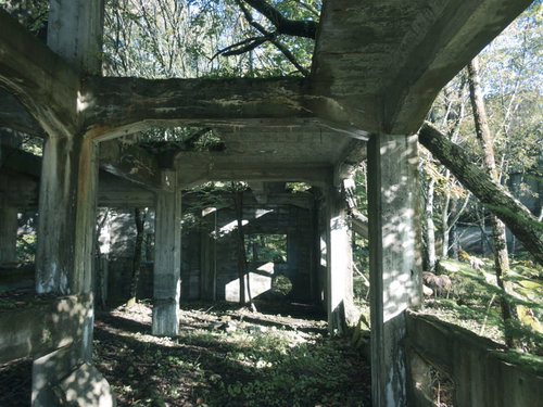 森の中に佇む本岐炭鉱の骨組みが残る炭鉱遺構