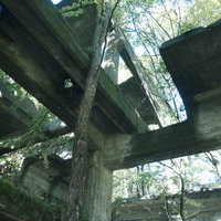 炭鉱遺構の骨組み沿いに伸びる緑の木の写真