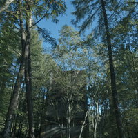 木々の奥に見える炭鉱遺構の写真