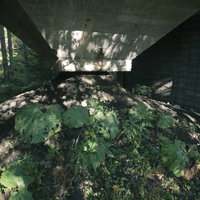 炭鉱施設に生い茂る雑草と木漏れ日が差し込む廃墟の風景の写真