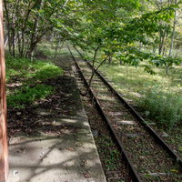 上茶路駅から伸びる廃線の線路と朽ちたホームの写真