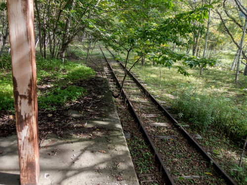 上茶路駅から伸びる廃線の線路と朽ちたホーム