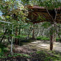 森林に囲まれた上茶路駅の廃線ホームと駅舎跡の写真