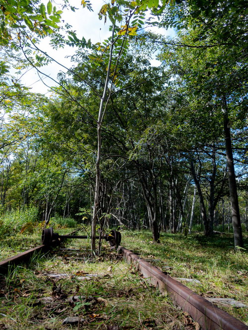 廃線とトロッコの車輪が残る上茶路駅跡の風景