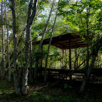 木々に囲まれる上茶路駅の廃駅ホーム跡と駅舎の写真