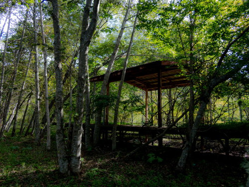 木々に囲まれる上茶路駅の廃駅ホーム跡と駅舎