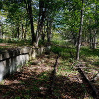 廃線に横たわる木々が覆う上茶路駅のホームの写真
