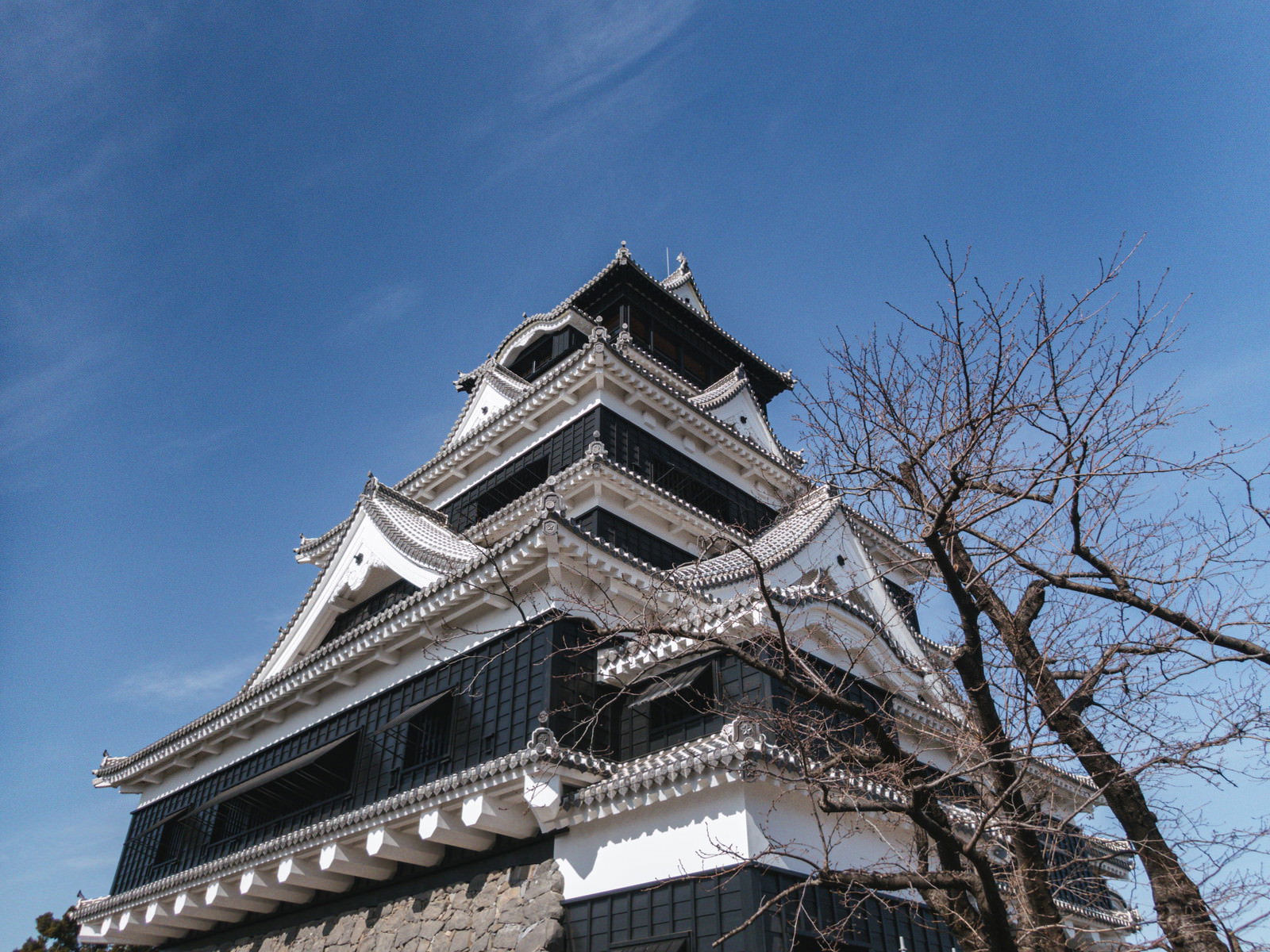 青空を背景に見上げた熊本城天守閣と枯れ木
