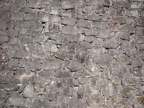風雨で劣化した石垣のテクスチャー