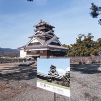 熊本城・宇土櫓と震災前を伝える案内看板の写真