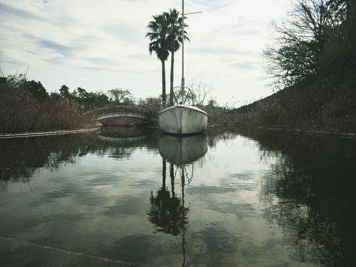 廃プールの水面に浮かぶ白いヨットと周囲の木々の水鏡反射