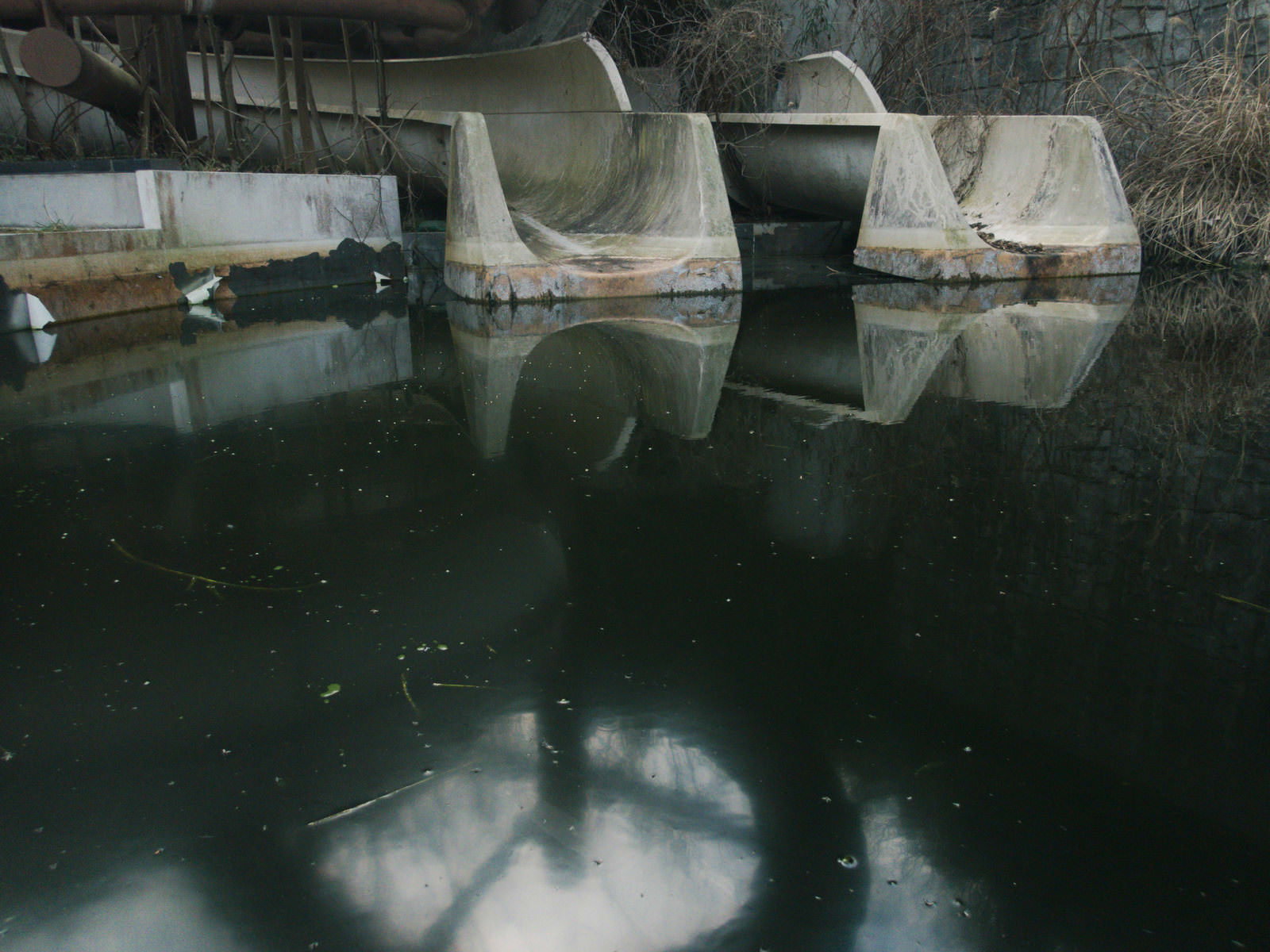 水の溜まった廃プールにコンクリート製の滑り台が設置されている様子