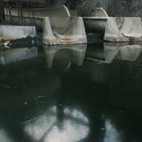 水が溜まった廃プールに設置されたコンクリート製の滑り台の写真