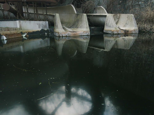 水が溜まった廃プールに設置されたコンクリート製の滑り台