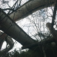 廃プールの見上げた曲線的な滑り台と複雑に絡み合うコンクリート構造の写真