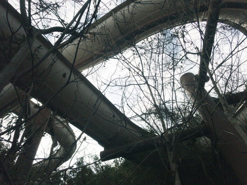 廃プールの見上げた曲線的な滑り台と複雑に絡み合うコンクリート構造