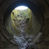 円筒状コンクリート構造物の出入り口に生い茂る苔の写真