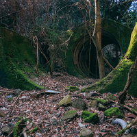緑の苔に厚く生す廃発電所の煉瓦造り遺構と落ち葉の写真