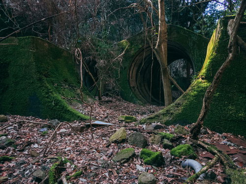 緑の苔に厚く生す廃発電所の煉瓦造り遺構と落ち葉