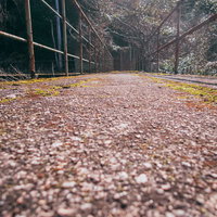 春の桜が咲く遺構へ誘う通路の写真