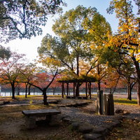 大阪桜ノ宮のリバーサイド公園にある秋の休憩所の写真