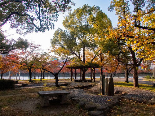 大阪桜ノ宮のリバーサイド公園にある秋の休憩所