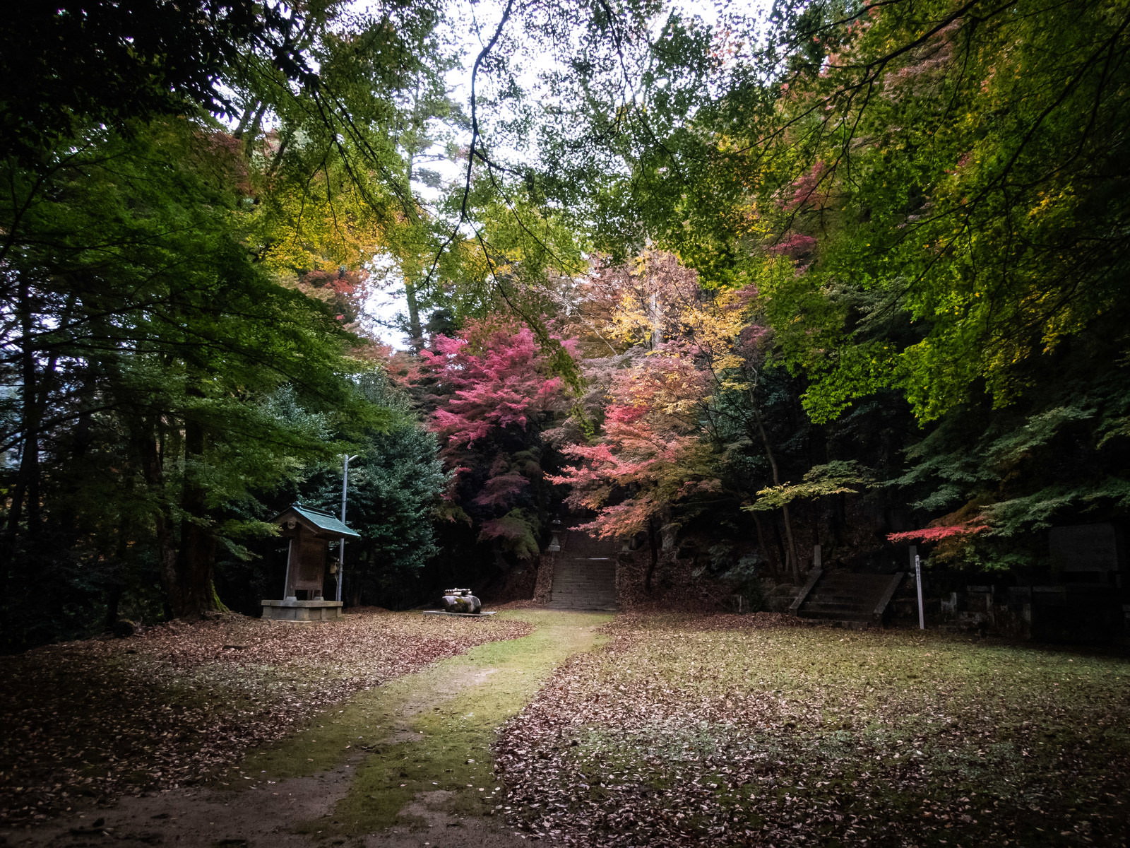 秋に赤や黄色に色付いた樹木に囲まれた砂利敷きの参道と社殿がある神社の境内