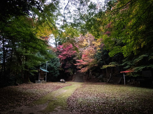 色付き始めた紅葉と智頭町の境内、樹齢の古い樹木の秋風景