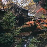 鳥取県智頭町の小川沿いで色付き始めた紅葉と秋の渓流の写真