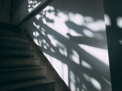 廃墟のコンクリート壁に伸びる階段の手摺りの影