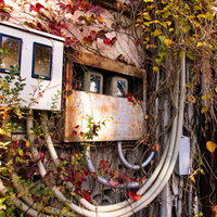 蔦に絡まる廃墟の止まったままの電気メーターの写真