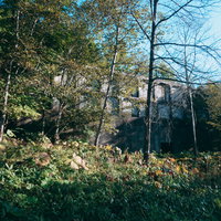 秋の木々に囲まれた廃墟の炭鉱施設と産業遺産の写真