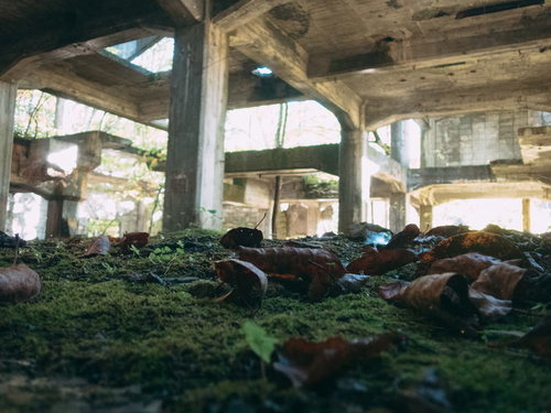 廃墟と化した炭鉱に積もった落葉と風化したコンクリート柱