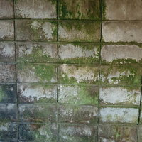 苔と風化で濡れたブロック塀のテクスチャーの写真