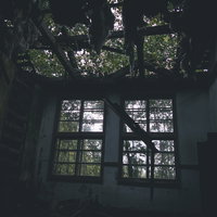 窓からの光が差し込む崩れ落ちた廃墟の天井の写真