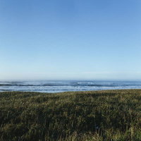 雲一つない青空と海、手前に広がる緑の草原の写真