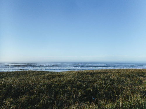 雲一つない青空と海、手前に広がる緑の草原