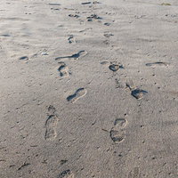 濡れた砂浜に残る複数の靴跡と足跡の痕跡の写真