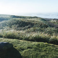 浜辺に抜ける藪の抜け道を進む細い小径と砂浜の風景の写真