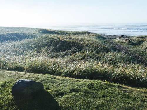 浜辺に抜ける藪の抜け道を進む細い小径と砂浜の風景