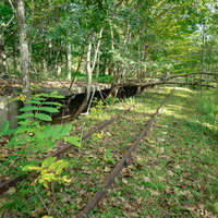 緑に包まれる上茶路駅の線路と倒木が積もるホームの写真