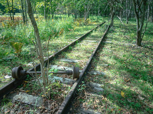 上茶路駅の廃線に育つ木々と錆びたレール、北海道の鉄道遺産