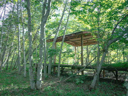 木漏れ日の中の上茶路駅のホーム、古い線路と駅舎