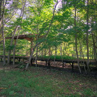 木々に囲まれて静寂に佇む上茶路駅の廃駅ホームと線路跡の写真