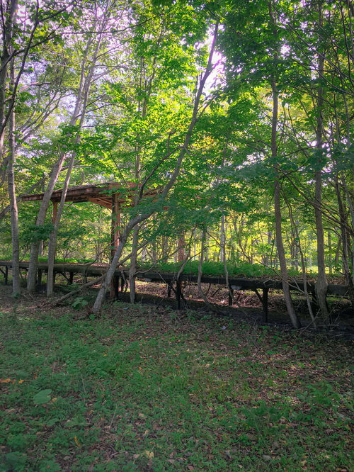 木々に囲まれて静寂に佇む上茶路駅の廃駅ホームと線路跡