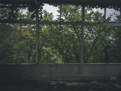 枠だけ朽ち果てた廃墟の窓。植物が生い茂る古い建物