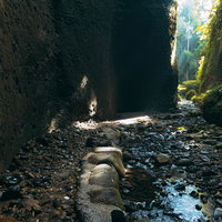 伊尾木洞の渓谷にある砂利の遊歩道と木漏れ日の写真
