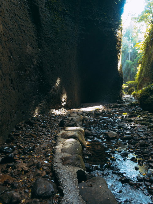 伊尾木洞の渓谷にある砂利の遊歩道と木漏れ日